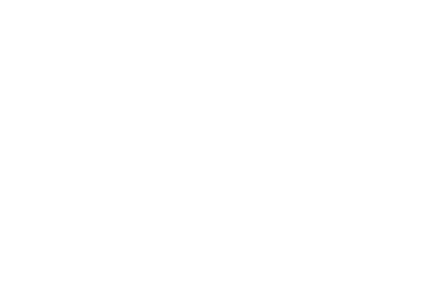 Four Seasons