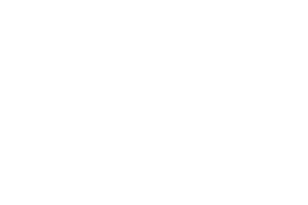The Real Pet Food Co